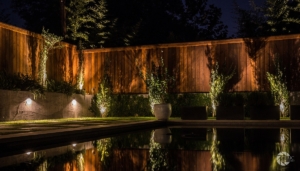 Outdoor Lighting Highlights your Landscaping